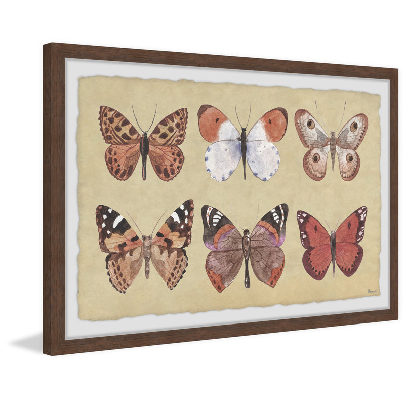 Complex Pattern - Single Picture Frame Print, 38cm H x 45cm W x 3.81cm D