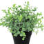 Eucalyptus artificiel 4 "en pot