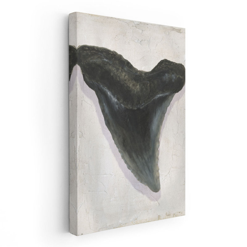 «Watercolor Sharks Tooth I», reproduction d'art sur toile, H 30 po x l 20 po