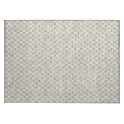 Machine Washable Indoor/Outdoor Christain ACN1428 Beige Rug