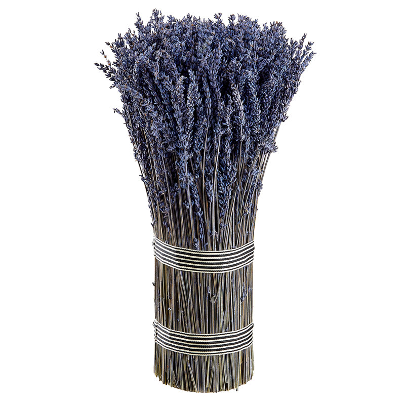 Paquet de 16,5 po lavande sur pied
