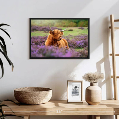 Brampt Highland Cow Paradise