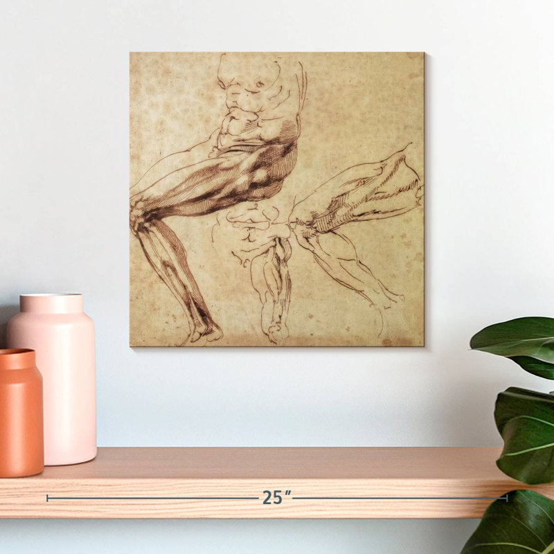 Trois études d'une patte, 16" H x 16" W