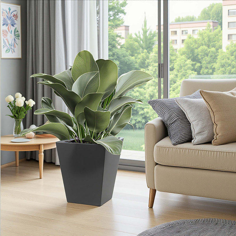Versatile Metal Planter for All Settings with Excellent Drainage and Durability, 16" H x 16" W x 18" D, Black