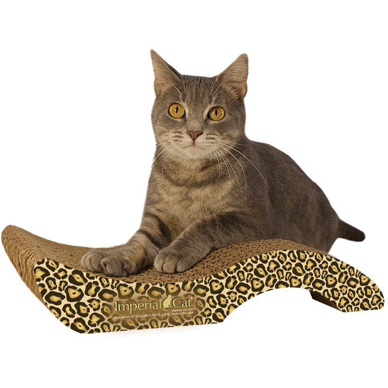 Grattoir en papier recyclé Chisholm, Jaguar