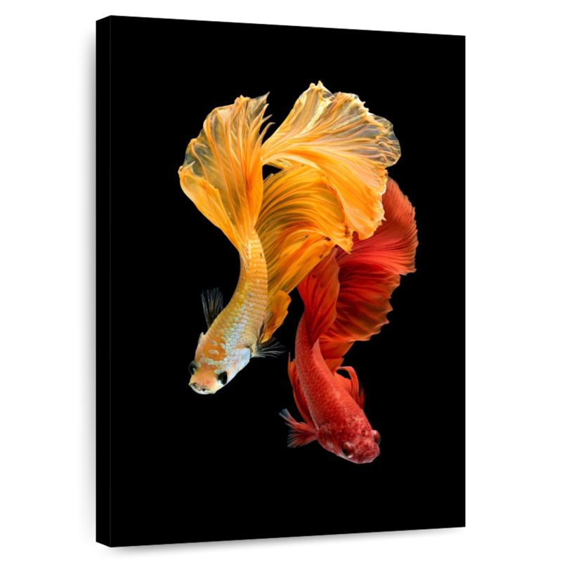 Brampt Groovy Couple Betta Fish, 24" H x 16" W