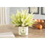 Arrangement floral Kallas Heather en pot