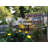 Cedra Low Voltage Solar Powered Integrated LED Pathway Light Pack