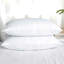  Coussin Feather-1250496724