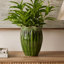 Pot à fleurs décoratif Ashly avec bordure festonnée, céramique texturée verte 11 pouces-130990676-130990677