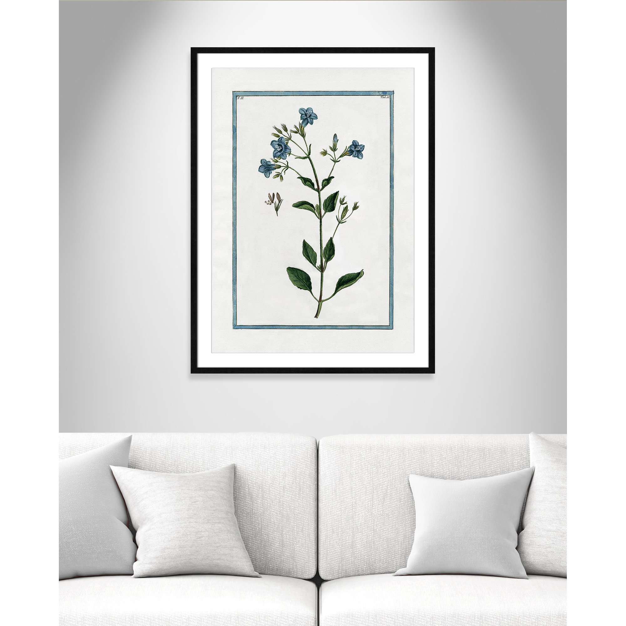 Shabby Elegance Botanical II - Framed Art, 25.5" W x 35.5" H, Black Framed