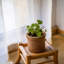 Pot de fleurs en béton-88364633