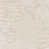 Ivory/Neutral