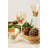Black Forest Pine 6" Serving Bowl-1274696153