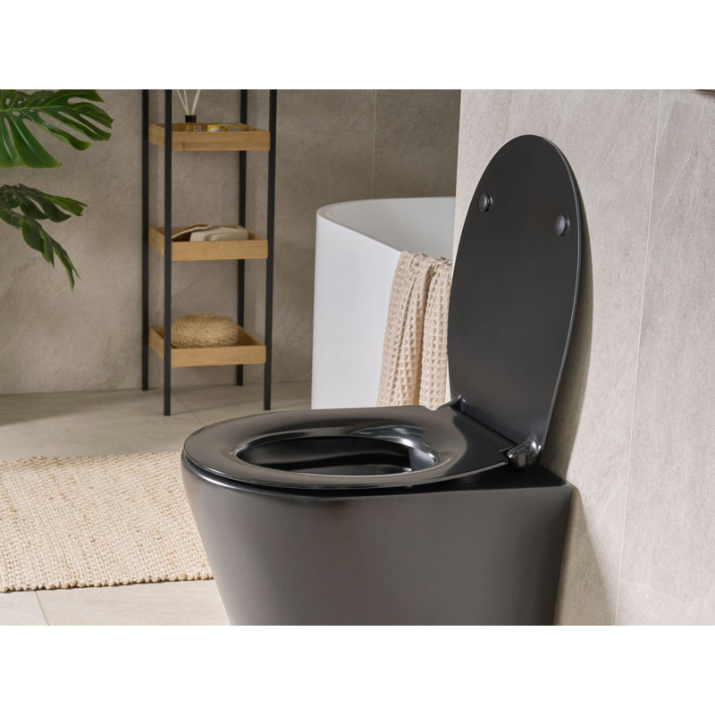 Toilet Seat PUTUMAYO  Soft Close Duroplast Black, Black