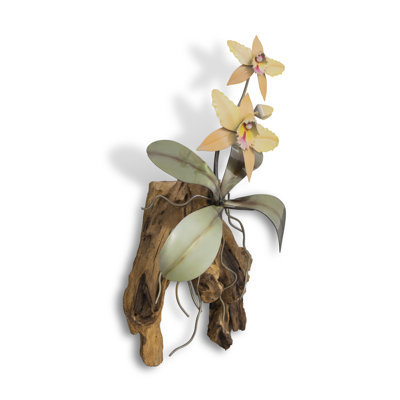 Orchidée murale Cattelya
