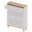 Shoe Cabinet With 2 Flip-Up Doors And 2 Drawers