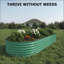 Oval Raised Garden Bed - 0.6mm Galvanized Steel Planter Box with Open-Bottom Design, Effortless Tool-Free Assembly Elevated Planter Box for Indoor/Outdoor Vegetables Weatherproof Outdoor Garden Kit-1153884090-1153884047