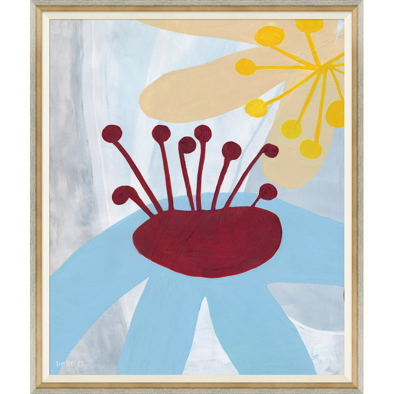 Olearia Painting by Susan Hable