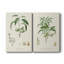 Toile tendue avec châssis antique I-Premium Botanical Antique