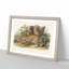Jaguar by J.W. Audubon - Framed Print-55576106-55576109