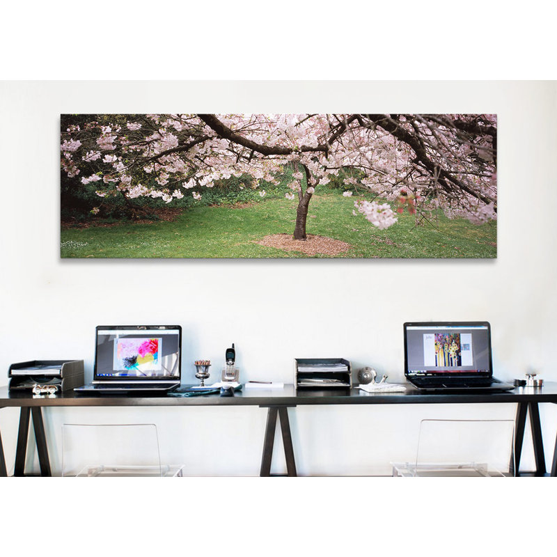 «Cherry Blossom Tree in a Park, Golden Gate Park, San Francisco, California», reproduction de photo sur toile