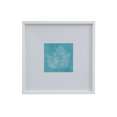 «White Coral on Blue I», reproduction encadrée