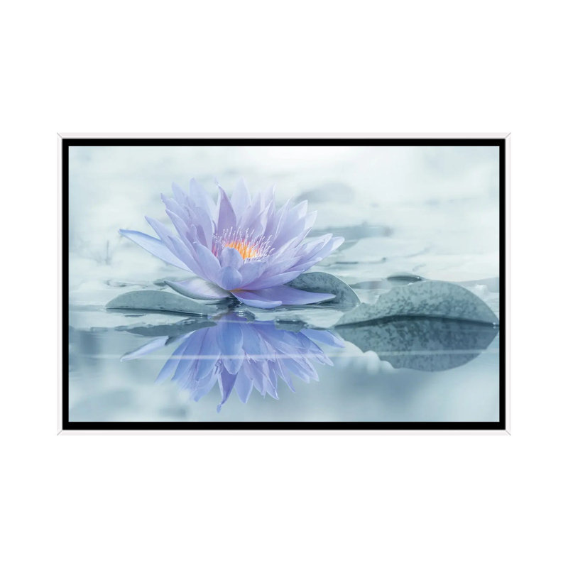 Reflection by Takashi Suzuki - Floater Frame Print on Canvas, 66.04 cm H x 45.72 cm W, White