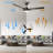 Gailyn 52'' Ceiling Fan with LED Lights