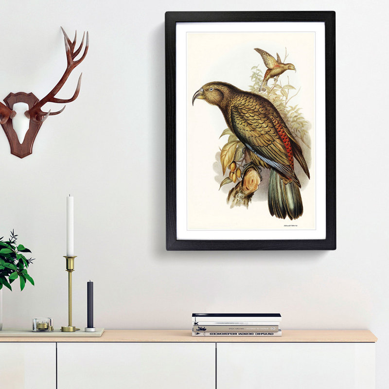 Kea Parrot by Elizabeth Gould - Picture Frame Graphic Art Print, Black Framed, 36cm H x 27cm W x 2cm D