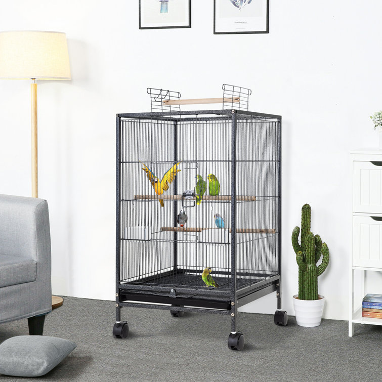 Bird Cages & Stands for Pet Parrots, Parakeets, Cockatiels