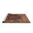 Oriental Indoor Rug-1684669362