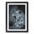 Black Framed