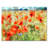 " Grunge Summer Poppy Field " Color Photography Print-1671358429-1671358406