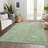 Machine Washable Indoor/Outdoor Xhevrie Aloe Rug-1370375742