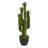 Cactus Artificial Plant