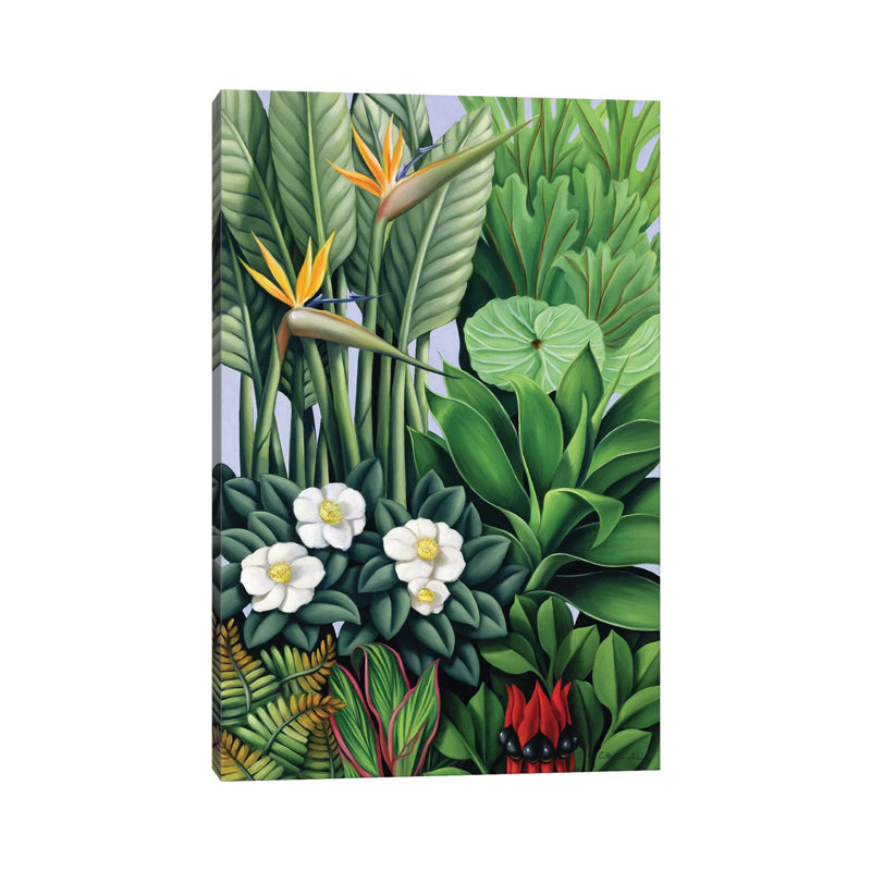 Foliage II by Catherine Abel - Wrapped Canvas Print