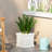 Antique White Planter For Outdoor Planting Beds - 10.77 In. Depth, Width, 10.48 Height, 11.23 Lb In Decor