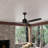 Ceiling Fan