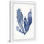 Seaweed Under Water IV by Marmont Hill - Single Picture Frame Painting-1107329808