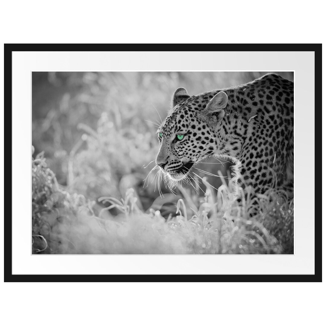 Gerahmtes Poster Schleichender Leopard