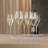 Spiegelau Definition Champagne Glasses