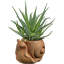 Pot à fleurs Derwin-883644987-883644980