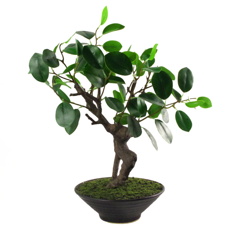 Anivea 40cm Faux Bonsai Tree in Pot