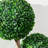 Artificial Boxwood Topiary in Pot-1846157535-1846157528