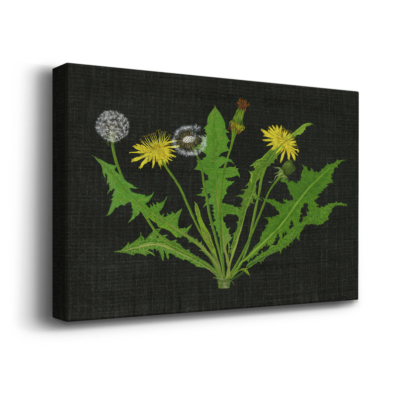 " Wild Dandelion I ", 27" W x 18" H
