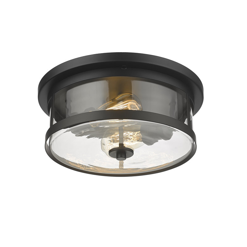 Industrial 2 Light Round Glass Flush Mount, Black