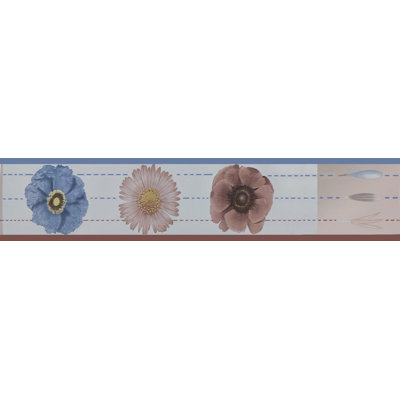 Kaelynn Peel & Stick Border