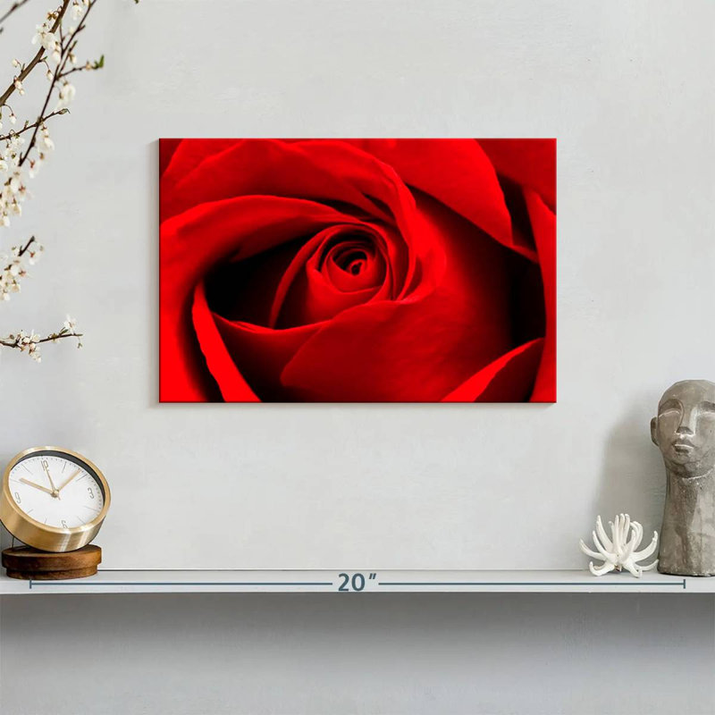 Harnek, gros plan d'une rose rouge, H 8 po x l 12 po