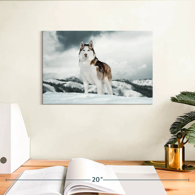 Majestic sibérien Husky, H 8 po x l 12 po